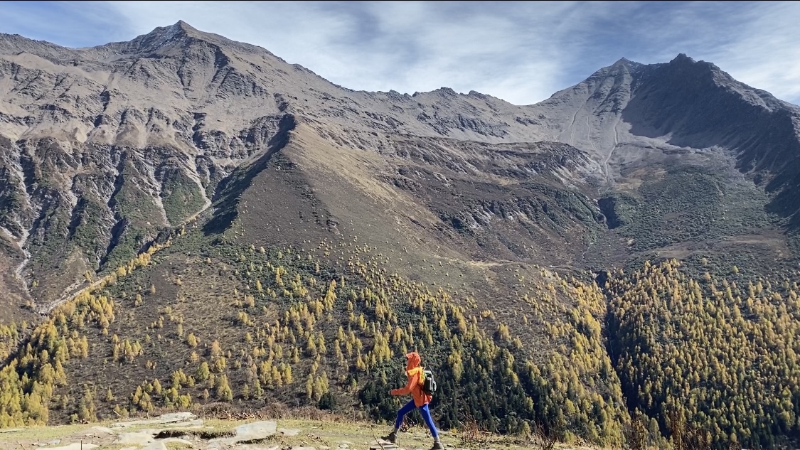dy业务自助下单原始网址：如何轻松掌握自媒体运营法则